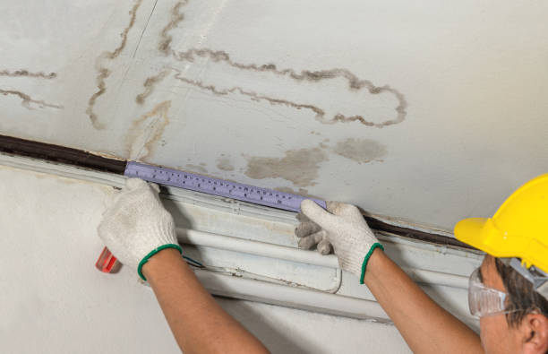 Reliable Sewage Cleanup contractor in Cedar Springs, MI by Water Damage Irwin